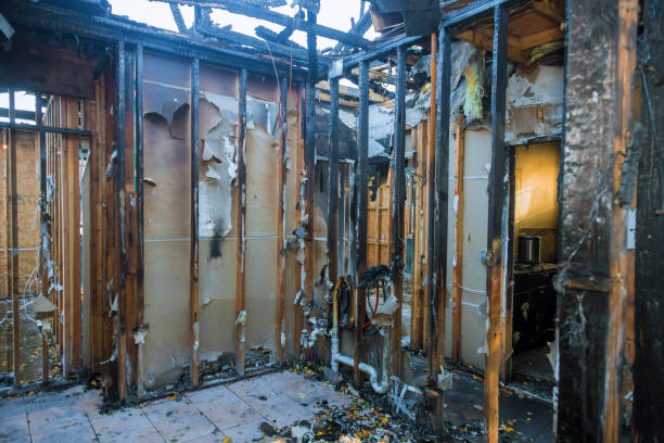 Professional Fire Damage Repair technician working in Highland, IN